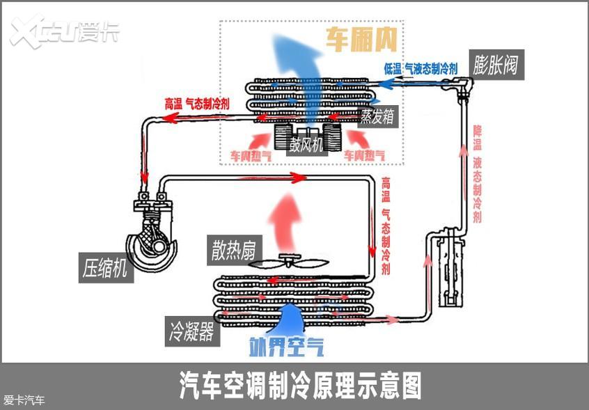 柳絮