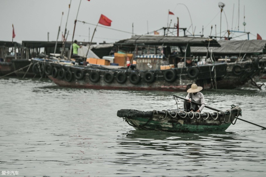 海面上,许多渔船正出海归来,一只孤舟独立于众多捕捞船之中,渔人头戴