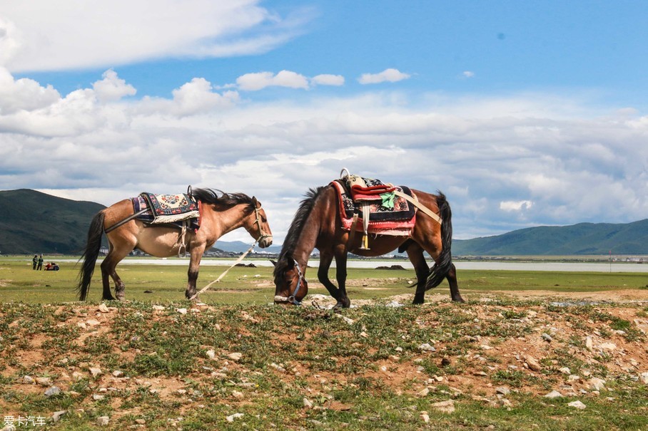 新款2系旅行車(chē)