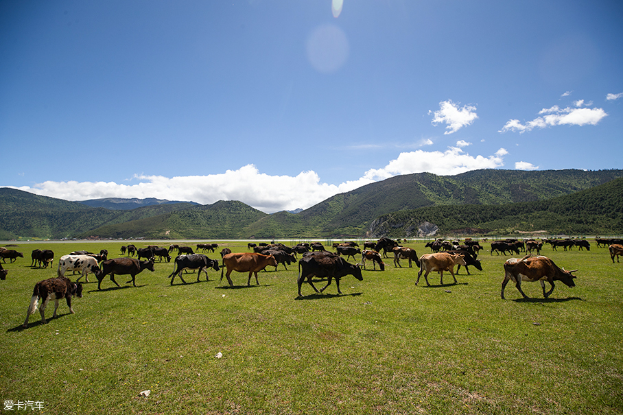 新款2系旅行車(chē)