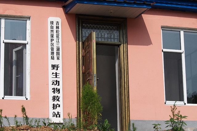 斯巴鲁公益