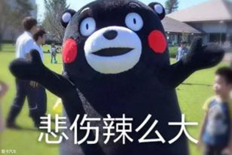 北京摇号；新能源摇号；北京新能源汽车指标