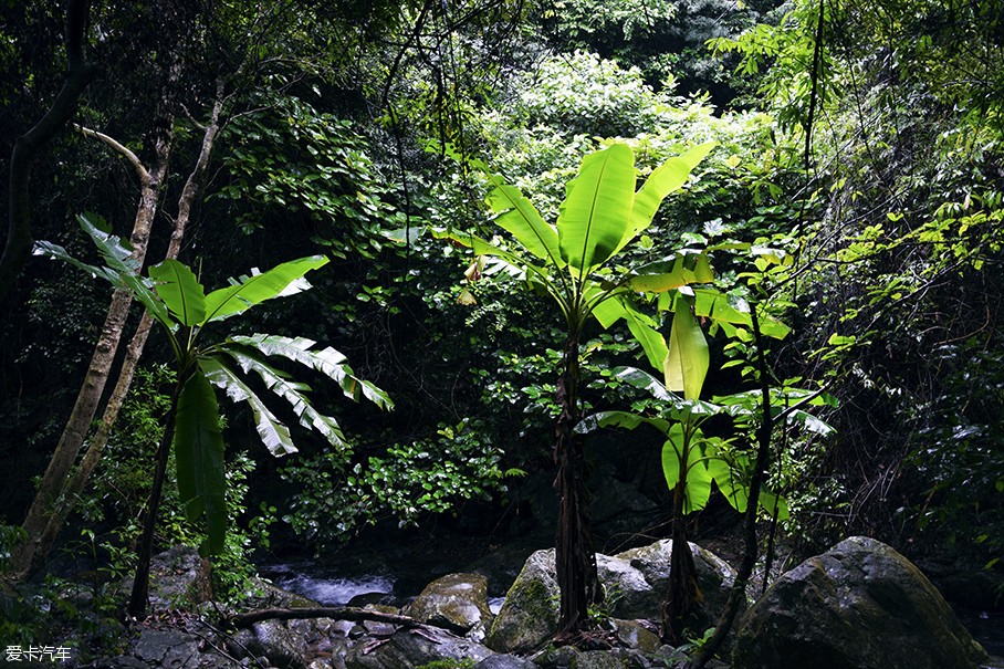 凯美瑞双擎;凯美瑞双擎探城记