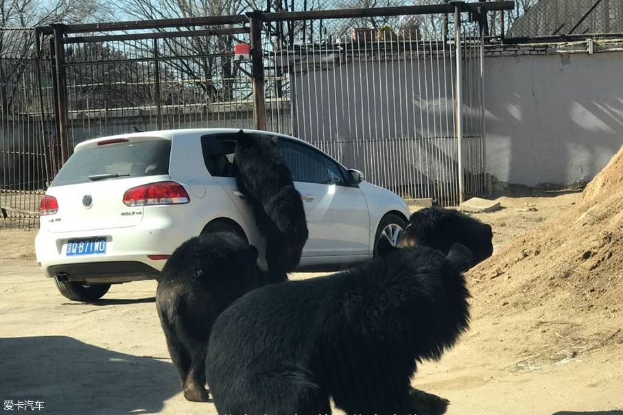 车窗怎么用
