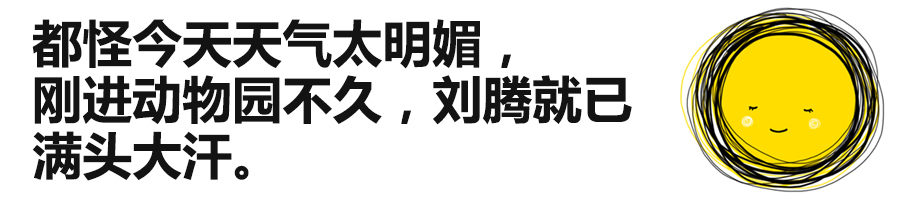 车窗