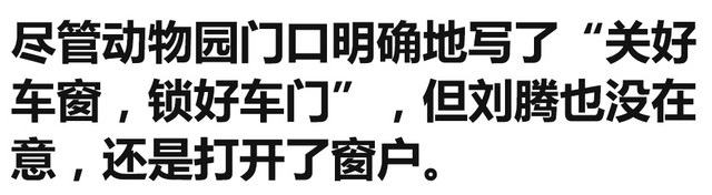车窗
