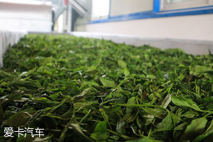 林肯自驾游六