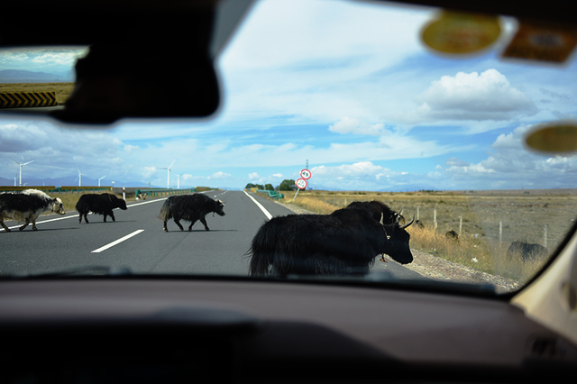 �Ա�MATTU;�Ա�����;�ص�̽��