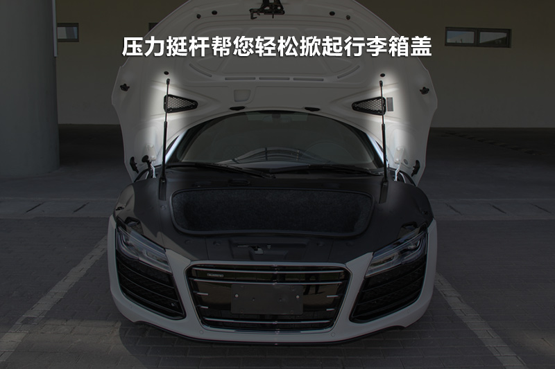 µR8 V10 coupe