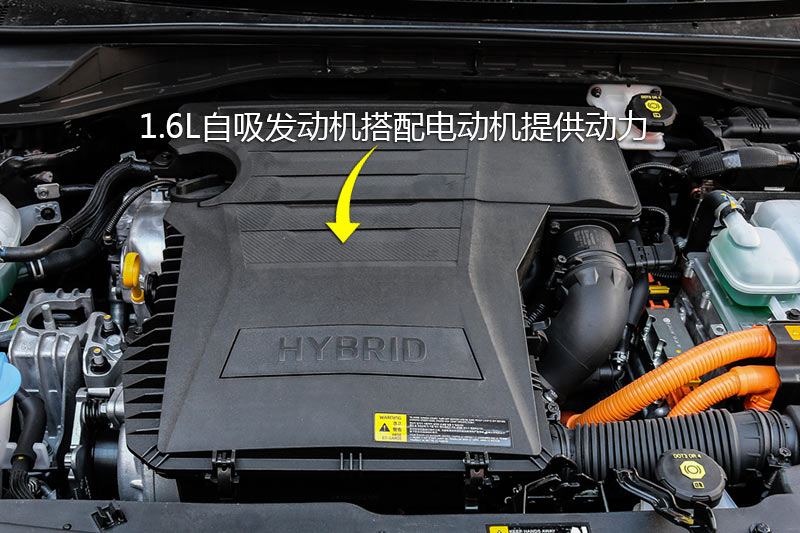  1.6L ˫콢