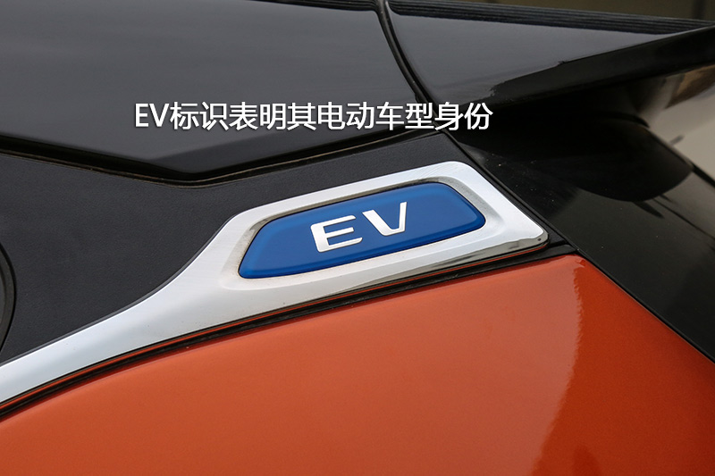 EV 300 