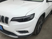 2019�����ɹ�2.0T ����Խ���� ��V