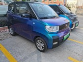 2020MINIEV