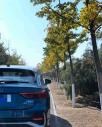 2020��µ�Q3 Sportback45 TFSI quattro ������
