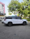 2021���CS952.0T ����������