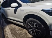 2021���Ӱ�񡤻춯2.0L ����������