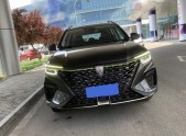 2021������RX5PLUS 330TGI �ֶ�����������