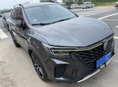 2021������RX5PLUS 330TGI �ֶ�����������