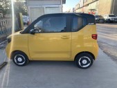 2021MINIEV 