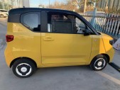 2021MINIEV 