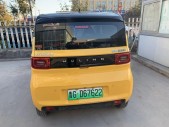 2021MINIEV 