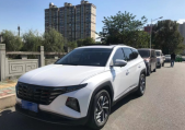 2022��;ʤ;ʤL 1.5T DCT���� N Line