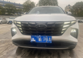 2022��;ʤ;ʤL 1.5T DCT���� N Line