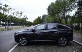 2022��;ʤ;ʤL 1.5T DCT���� N Line