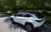 2022��;ʤ;ʤL 1.5T DCT���� N Line