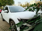2019��̽��330TSI ���������� ��VI