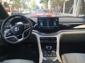 2021����PLUS DM-iDM-i 110KM �콢PLUS