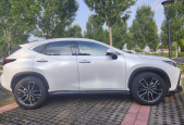 2022׿˹NX350h ǰ 