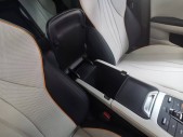 2021����PLUS DM-iDM-i 110KM �콢PLUS