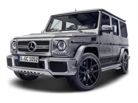 2016GAMG AMG G 65