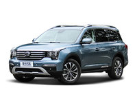 2017���GS8 320T �Զ���������������