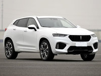 2017WEY VV7 VV7S 콢