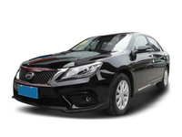 2017ǵG6 2.0L ֶԼ
