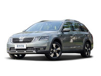2018г TSI230 DSGʰ