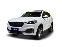 2020WEY VV6 2.0T Ԧ+