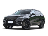 2020WEY VV7 2.0T 콢