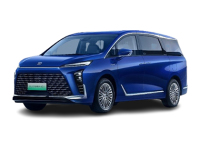 2024GL8Դ Avenirά  7