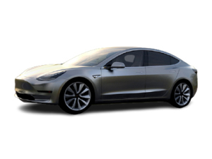 Model 3(进口)  2019款  Performance高性能全轮驱动版