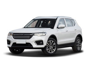 2019�����H7 