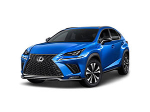 2020���׿���˹NX 