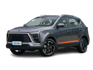 2022��˼�X6 