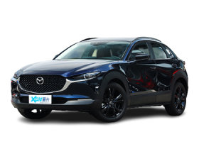 ���Դ����Դ�CX-30ͼƬ
