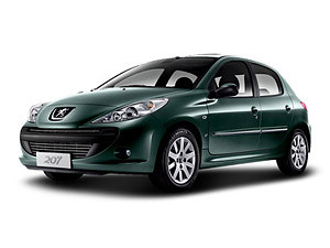 2010�����207���� 