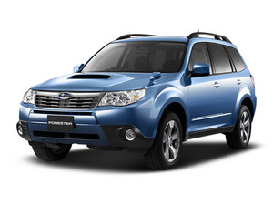 2011��ɭ���� 