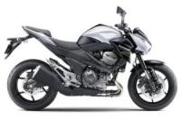 Z800 e version