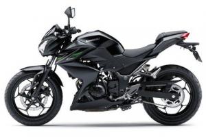 ����Z250/Z300